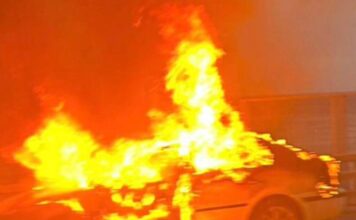 fotia althea 1 1200x630.jpg