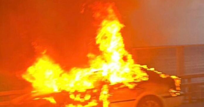 fotia althea 1 1200x630.jpg