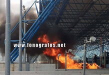 fotia diodia 1 3 2026 2 1200x630.jpg