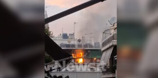 fotia gkuzi1 1200x630.jpg