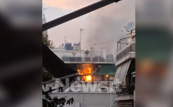 fotia gkuzi1 1200x630.jpg