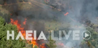 fotia ilia 1 1200x630.webp.webp