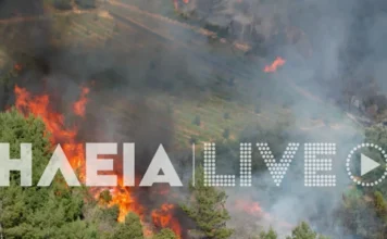 fotia ilia 1 1200x630.webp.webp