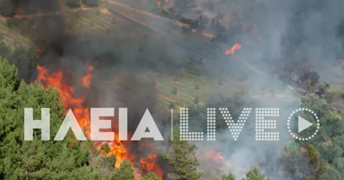 fotia ilia 1 1200x630.webp.webp