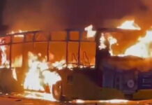 fotia switzerland 1200x630.jpg