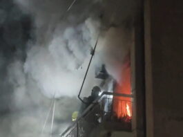 fotia tavros 1200x630.jpg