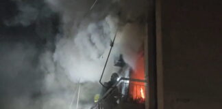 fotia tavros 1200x630.jpg