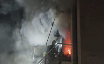 fotia tavros 1200x630.jpg