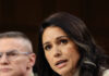 gabbard 1200x630.jpg