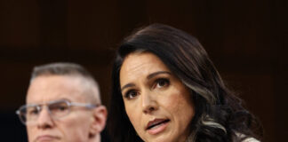 gabbard 1200x630.jpg