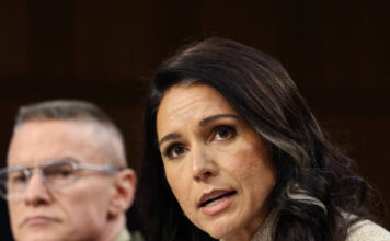 gabbard 1200x630.jpg