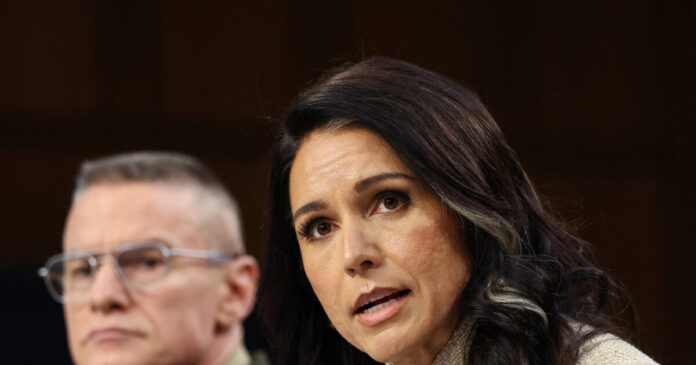 gabbard 1200x630.jpg