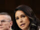 gabbard 1200x630.jpg