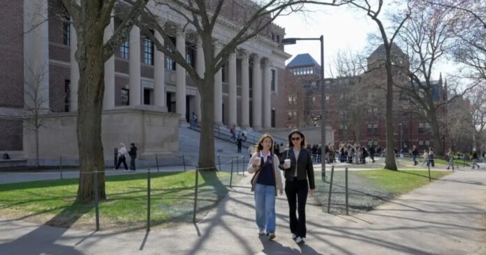 harvard reuters 1200x630.jpg