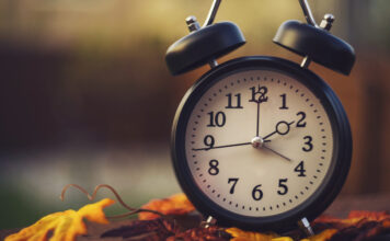 iStock 868352538 e1774537872959.jpg