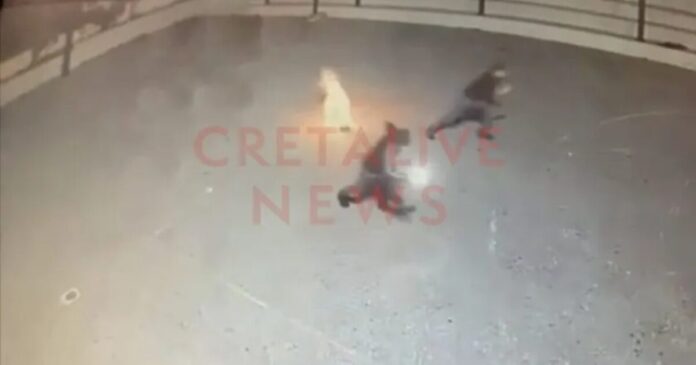 irakleio sxoleio creat24 1200x630.jpg