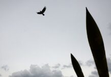 iran 1 4 1200x630.jpg