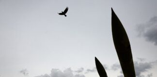 iran 1 4 1200x630.jpg