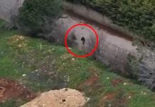 Οι IDF εξόντωσαν μέλη της Χεζμπολάχ με drones στον νότιο Λίβανο – Δείτε βίντεο israel hezbollax 1200x630.jpg