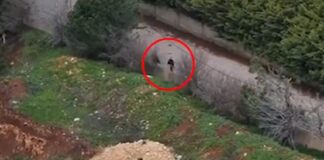 israel hezbollax 1200x630.jpg