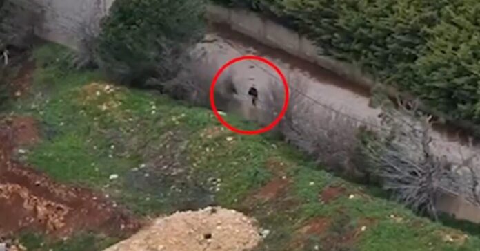 israel hezbollax 1200x630.jpg israel hezbollax 1200x630.jpg