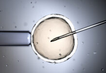 istock 2148544826 1200x630.jpg