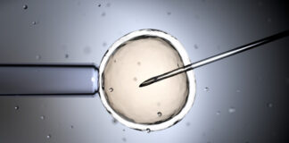 istock 2148544826 1200x630.jpg