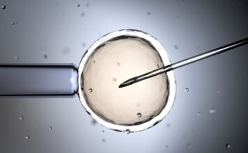 istock 2148544826 1200x630.jpg