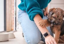 istock 2158562396 1200x630.jpg