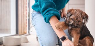 istock 2158562396 1200x630.jpg