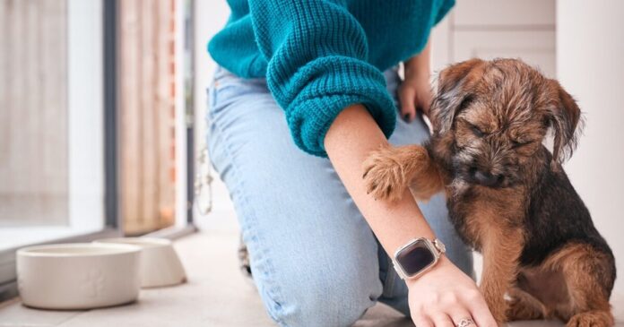 istock 2158562396 1200x630.jpg