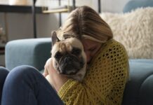 istock 2228942463 1200x630.jpg