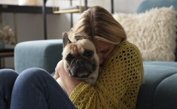 istock 2228942463 1200x630.jpg