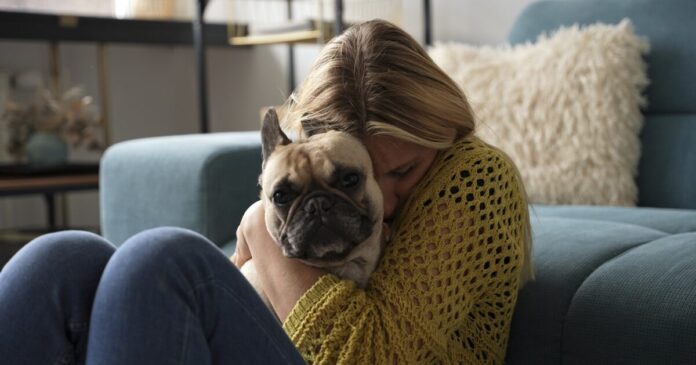 istock 2228942463 1200x630.jpg