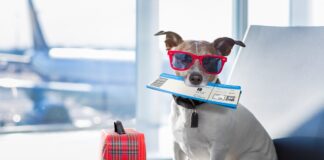 istock 667787320 1200x630.jpg