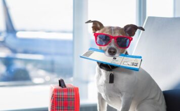 istock 667787320 1200x630.jpg