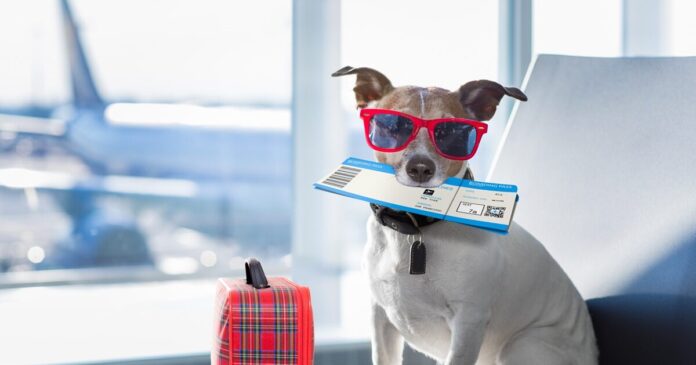 istock 667787320 1200x630.jpg