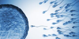 istock 816223244 1 1200x630.jpg