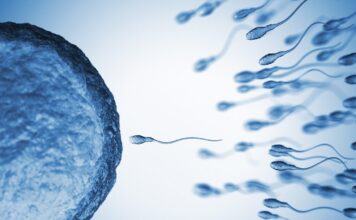 istock 816223244 1 1200x630.jpg