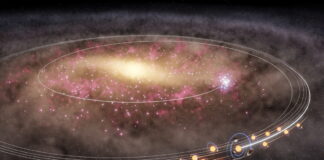 jasmine fig full 1200x630.jpg