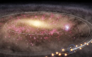 jasmine fig full 1200x630.jpg