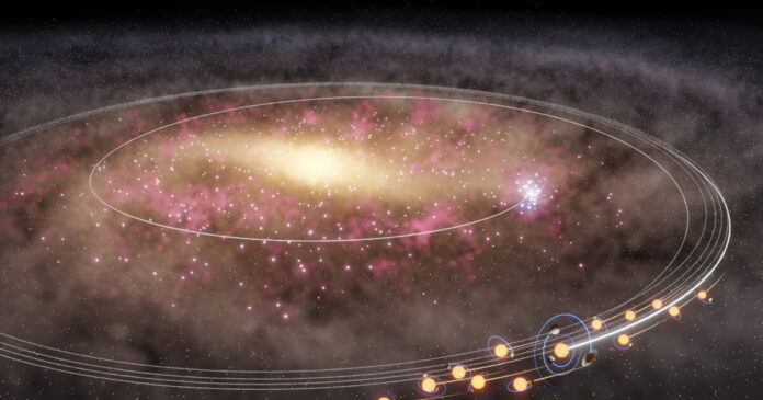 jasmine fig full 1200x630.jpg