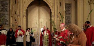 jerusalem palm sunday 1 1200x630.jpg