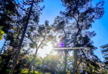 kaiors2 1200x630.jpg