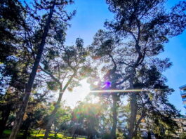 kaiors2 1200x630.jpg