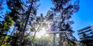 kaiors2 1200x630.jpg