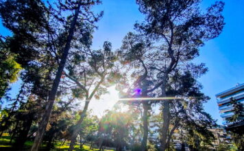 kaiors2 1200x630.jpg