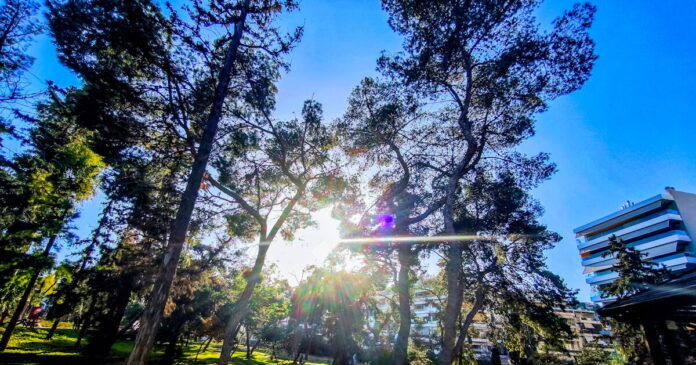 kaiors2 1200x630.jpg