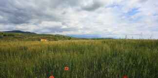 kairos 1 1200x630.jpg