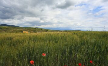 kairos 1 1200x630.jpg